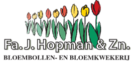 hopman
